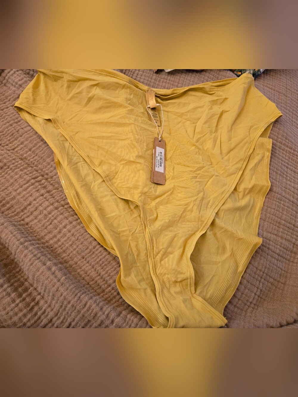 SKIMS Size 4X Topaz Jelly Sheer Cheeky Briefs PN-CBR-0353 NWT